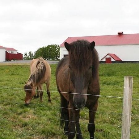 Byggtharhorn Apartman Selfoss Kültér fotó