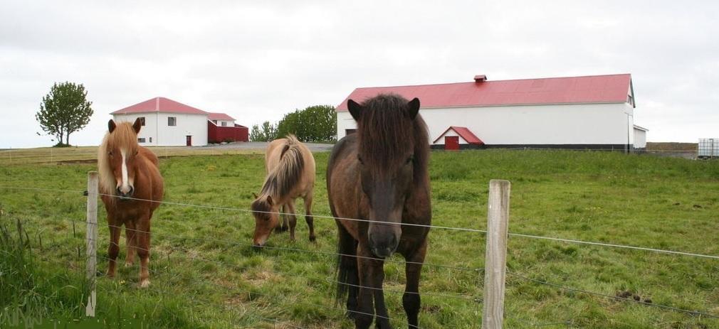 Byggtharhorn Apartman Selfoss Kültér fotó